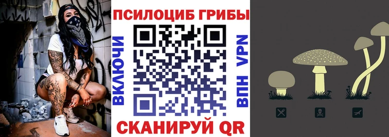 Псилоцибиновые грибы ЛСД  Туринск 